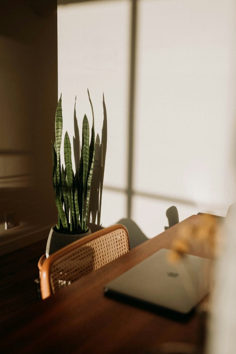 Designing a space that supports your nervous system